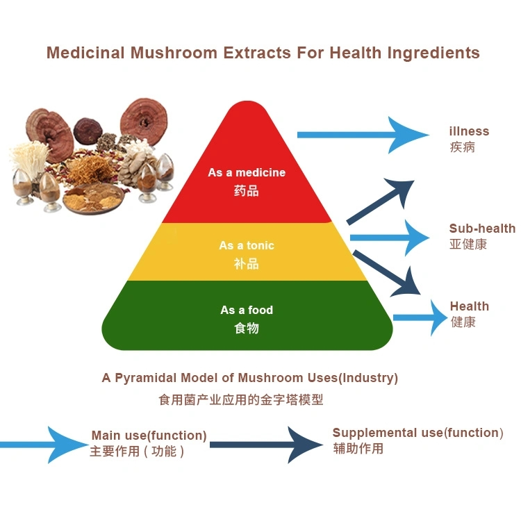 Mushroom Extract