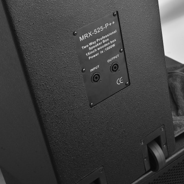 MP3プレーヤーとマイクの木製ボックスでフルレンジをペイントします