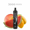 10 Fruits Disposable Vape Pen Electronic Cigarettes