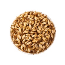 Healthy Dry-Fried Barley Sprout Product