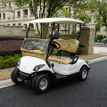 electric golf cart  with 2 rear seats