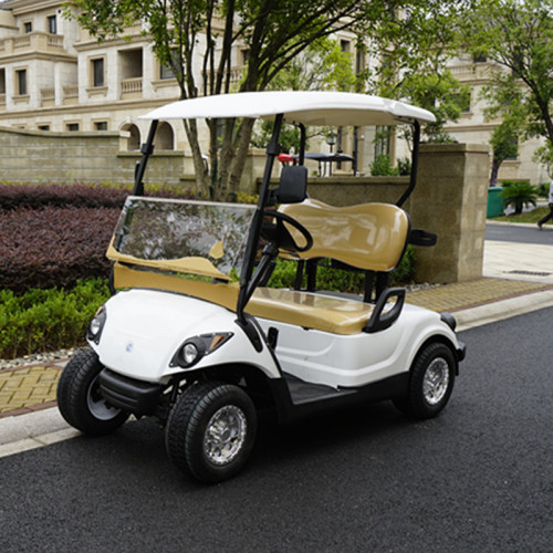 Wholesale customize electric powered golf cart