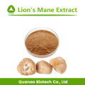 Hericium Erinaceus / Lion's Mane Mushroom Extract Powder 10: 1