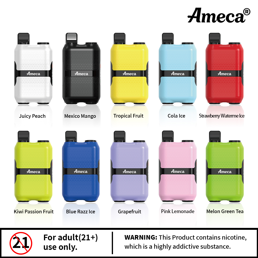 Ameca4