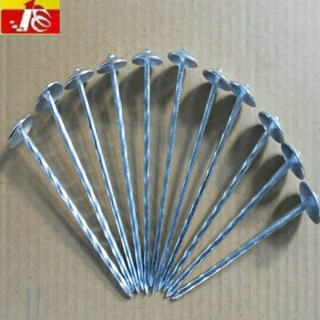 thread shank umbrella roofing nail 2.5"*9G