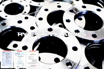 NFE 29203 Flange PN16 PN10 Plate Blind WNRF