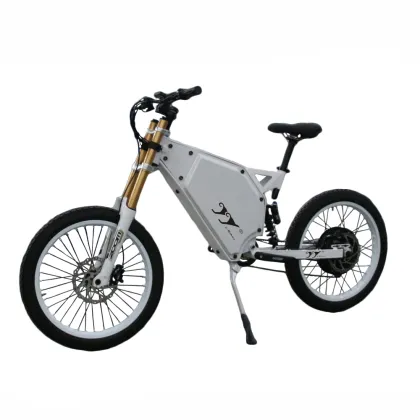 Wholesale Changzhou Leili Electric Road Bike 5000W Enduro EBike