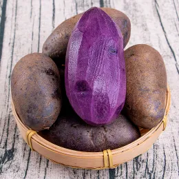 Premium Fresh Purple-skinned Potatoes from Yunnan