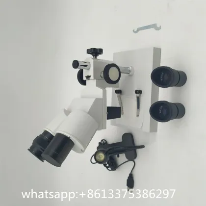 Portable Binocular Electron Microscope Tools
