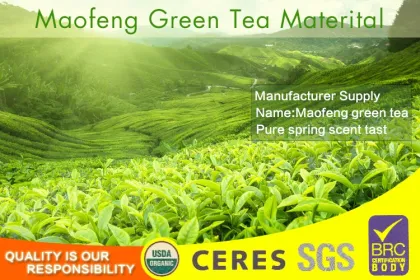 Health foods china factory organic fit tea detox