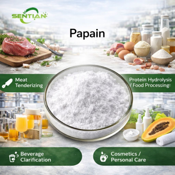 Natural Papain for Skin Care and Digestive Support
