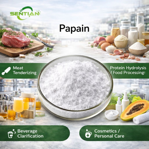 Natural Papain for Skin Care and Digestive Support