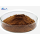 20% Red Sage Salvia Miltiorrhiza Extract Salvianolic acid