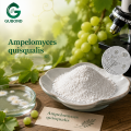 Ampelomyces Quisqualis مسحوق فطريات مكافحة البياض الدقيقي