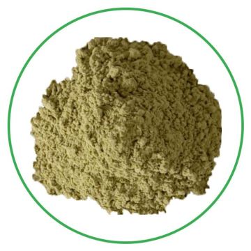 GMP high quality luo han guo extract powder