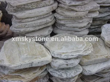 yellow vein stepping stone