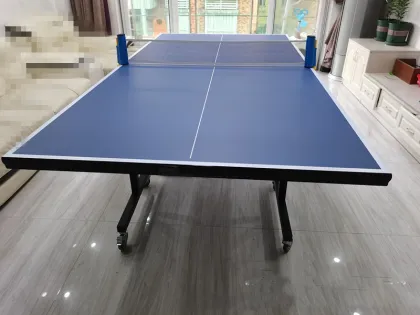 Folding Mobile Table Tennis Table