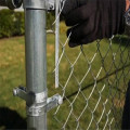 chain link fence for dogs