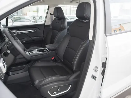 2024 RADAR RD6: Used and New Electric Pickup Truck with 415KM Range 2WD Technology Version