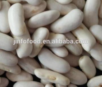 white kidney beans Long Shape