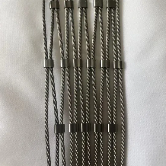 Stainless Steel Flexible Wire Rope Mesh for Peacock Aviary and Zoo Enclosures