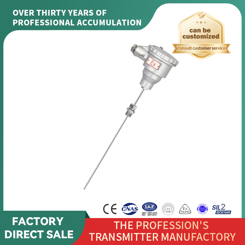 Senzori RTD/termocuplu blindați ignifugați