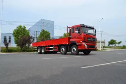 CLW 8X4 double single cab cargo truck