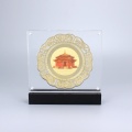 APEX Rectangle Coin Display Stand Case Dengan Magnet