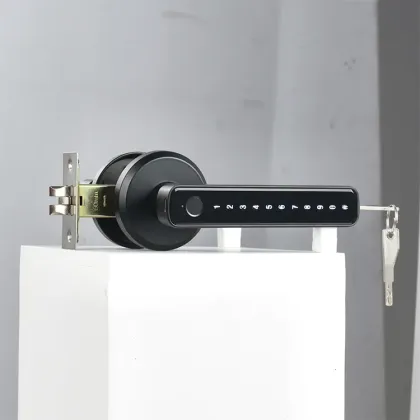 Tuya Single Latch Smart Fingerprint Handle Door Lock