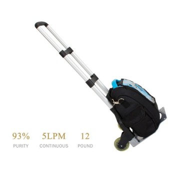 mini portable oxygen generator price