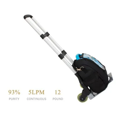 home medical portable oxygen generator price