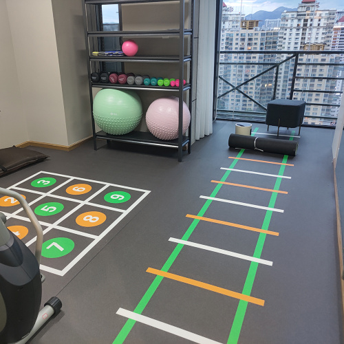 vinyl Gym sports flooring/Fitness centre flooring