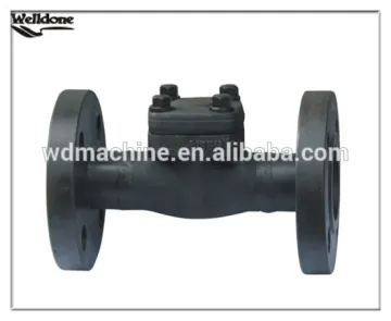 Check Valve / Forged Steel Check Valve
