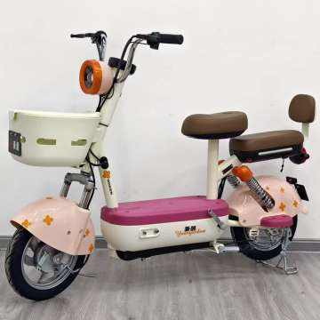 48V Two Seat 350W Best Storage Battery Electric Scooter