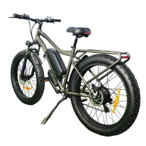 citycoco cool styling long range electric bicycle