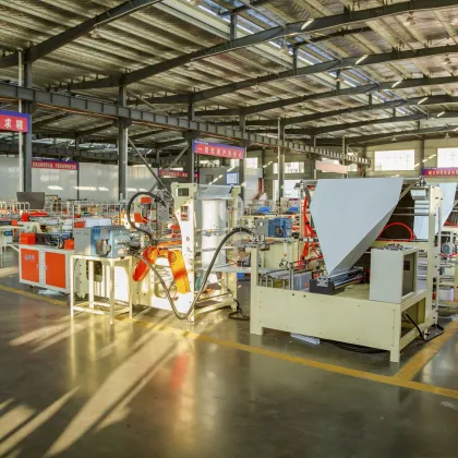 Custom Printed FedEx Pak Courier Bag Making Machine Supplier