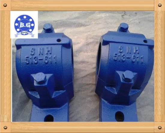 Skf / Nsk / Fag Stainless Steel Pillow Block Bearing For Motors Or Instruments