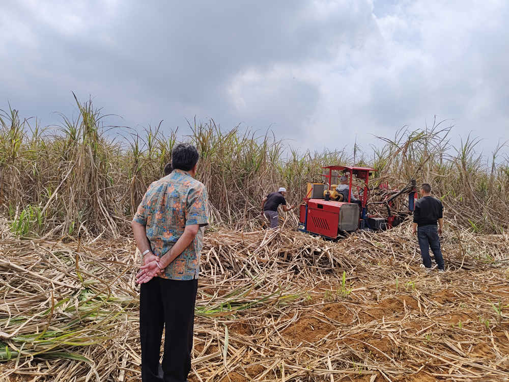 clients come to visit sugarcane harvester 4GP-1