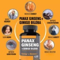 Tribulus Panax Ginseng Capsules Man Ginseng Capsule