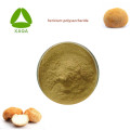 استخراج الفطر Mane's Mane's Extract 30 ٪ Polysaccharides مسحوق