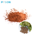 Grape Seed Extract Powder Procyanidin OPC 95% 4852-22-6