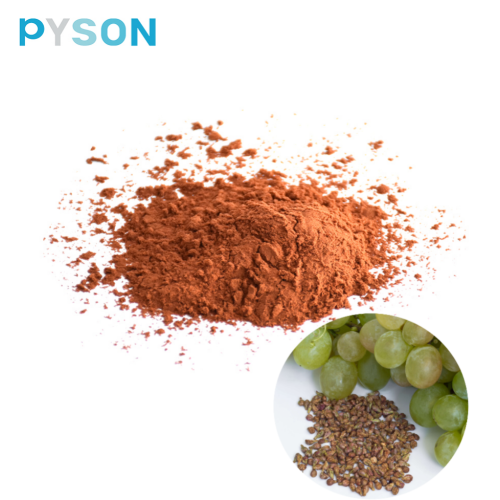 Extracto de semilla de uva en polvo Procianidina OPC 95% 4852-22-6
