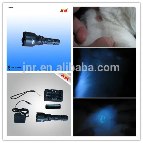 Dog cat skin checking diagnose equipment