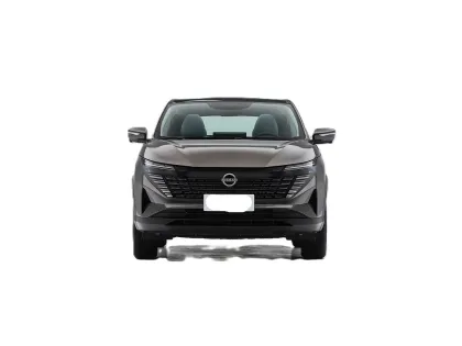 2025 Nissan QASHQAI Honor 2.0L CVT XV+