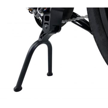 Rental adult power 36V 350W Sharing Electric Bikes