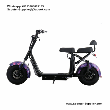 Citycoco Elektrikli Scooter Battery 60v20ah