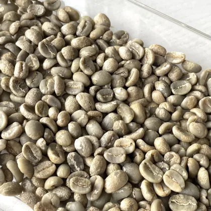 Yunnan Caturra Coffee Beans