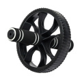 EW 005 Roue abdominale