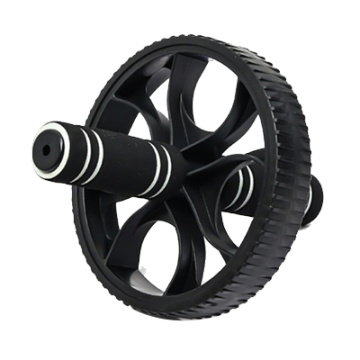 EW 005 Roue abdominale
