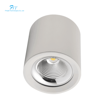 Customized Die-Cast Aluminum GU10 LED Downlights - Surface Mounted Ceiling Lights